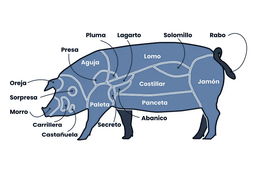 Foto 2 Cortes principales del cerdo y para qué se utiliza cada uno