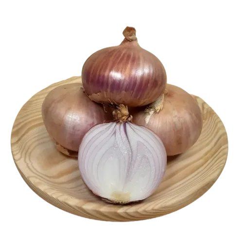167-Cebolla de Figueres-Carnicería Delicies l'Avinguda Terrassa