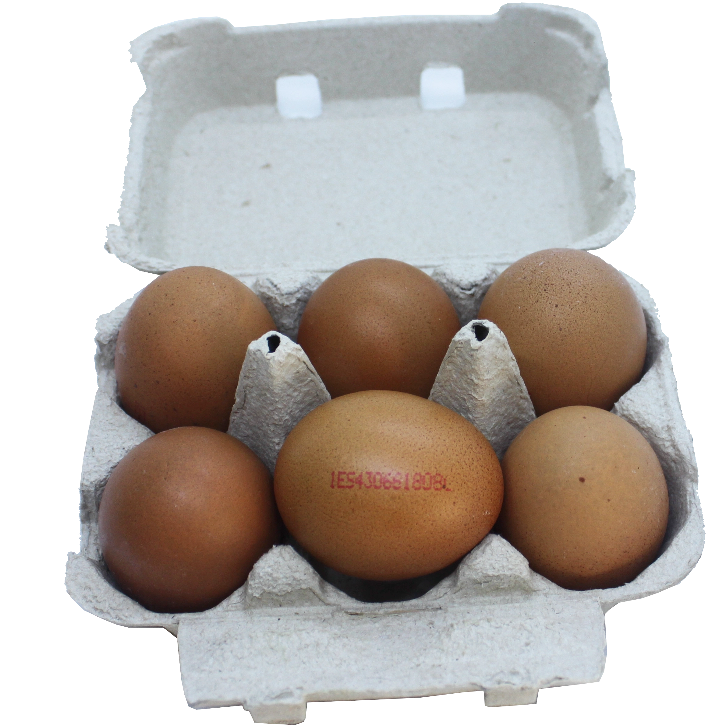 270-Huevos Camperos 1/2 media docena-Carnicería Delicies l'Avinguda Terrassa