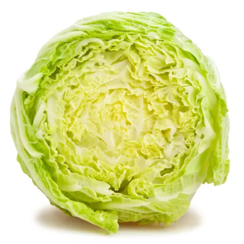 Lechuga iceberg - Delicies l'Avinguda-Terrassa - 3 Foto
