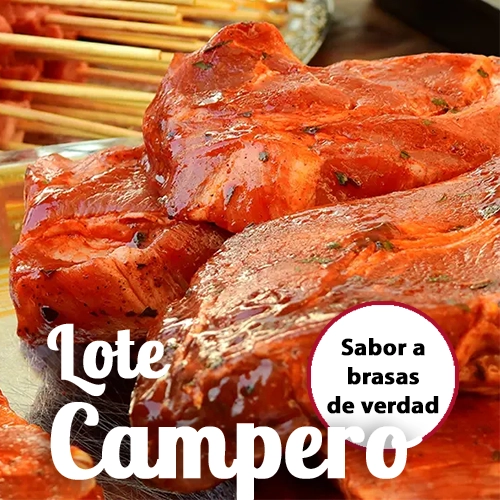 Lote Campero
