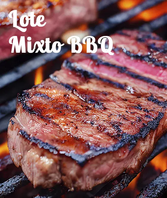 48 Lote Mixto BBQ