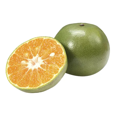 Mandarina - Delicies l'Avinguda-Terrassa - 3 Foto