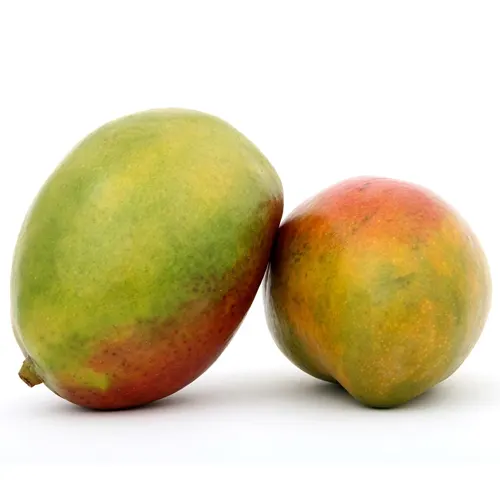 140-Mango de avión-Carnicería Delicies l'Avinguda Terrassa