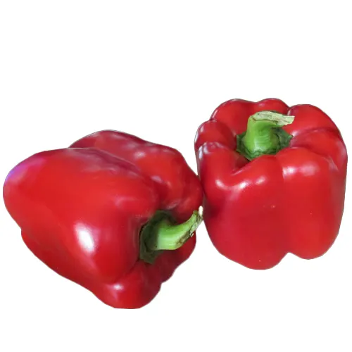 201-Pimiento rojo-Carnicería Delicies l'Avinguda Terrassa