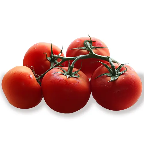 209-Tomate rama-Carnicería Delicies l'Avinguda Terrassa