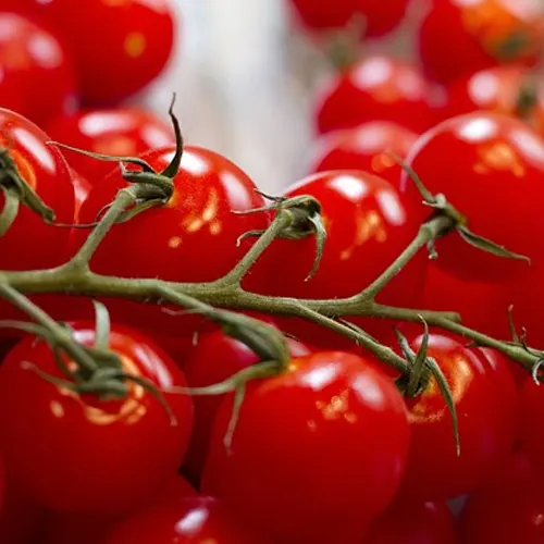 Tomate rama - Delicies l'Avinguda-Terrassa - 3 Foto