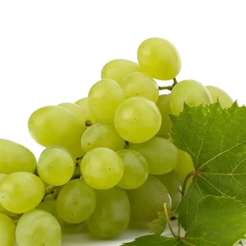 Uva blanca sin pepitas - Delicies l'Avinguda-Terrassa - 2 Foto