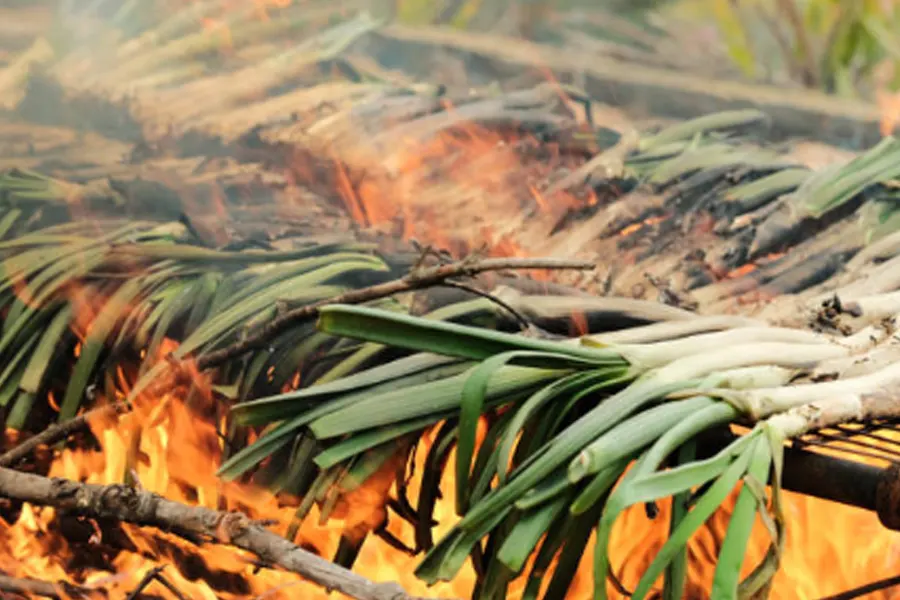 Foto 2 Cómo preparar calçots en casa (de forma sencilla)